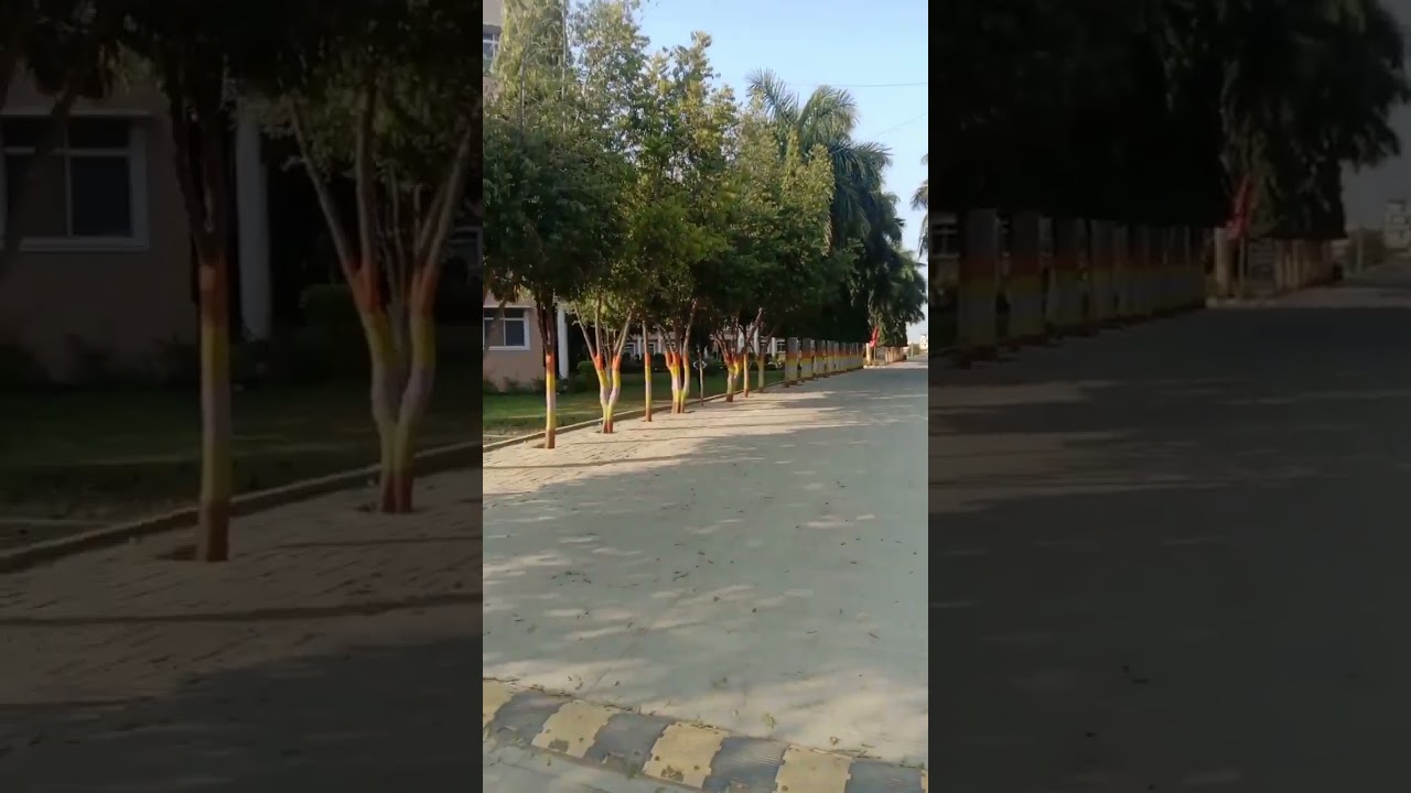 Jnct professional University bhopal #lnctgroup  #jnct #rgpv #top college