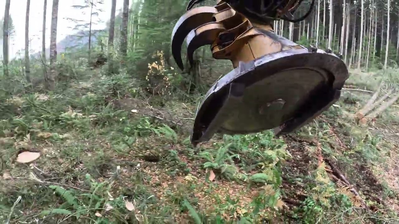 Happy Halloween cutting! wildlife areas and lead change!