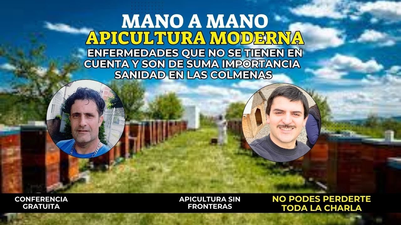 Enfermedades en las abejas que los apicultores no distinguir bien. La varroa es la unica culpable?