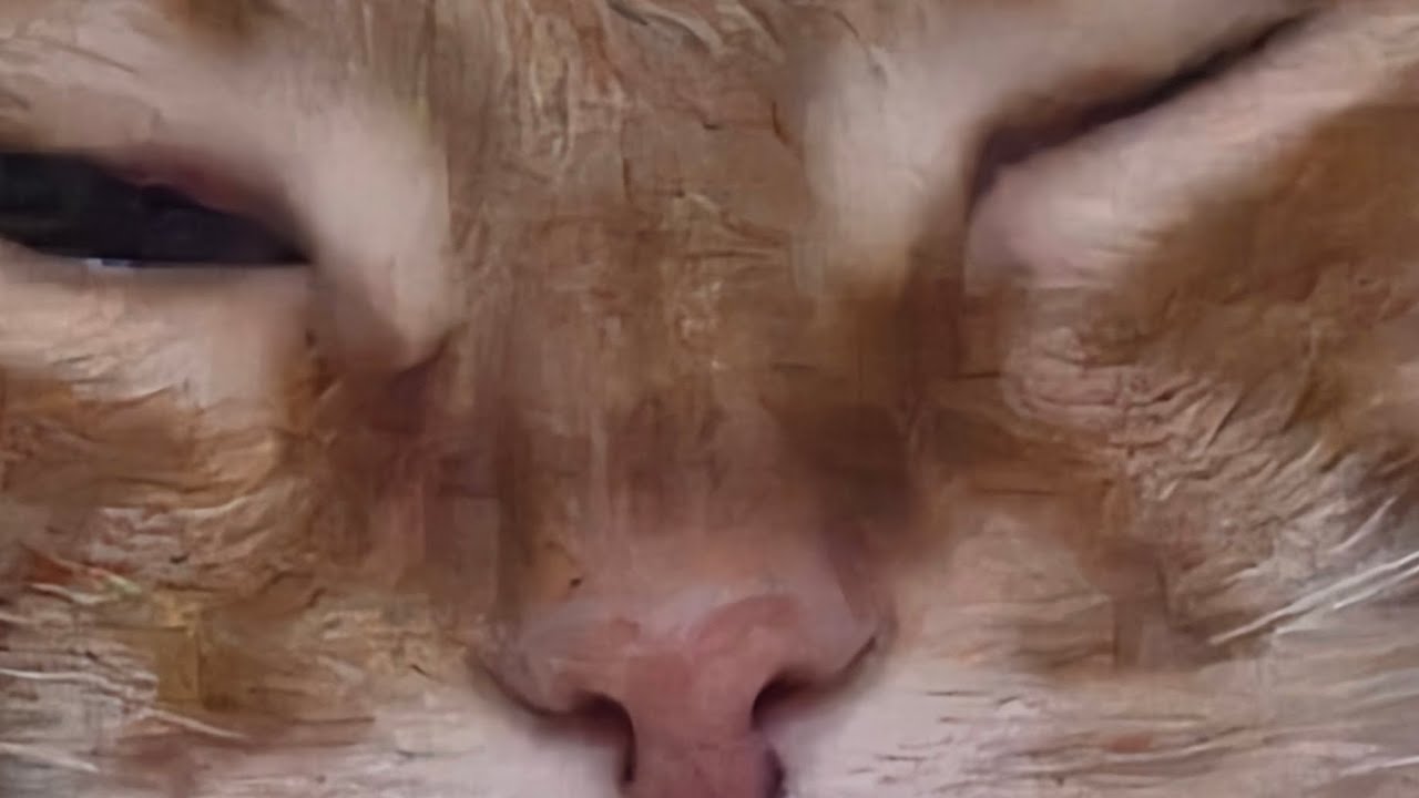 😿 Откровенный блог: наша тяжёлая ситуация с кредиткой и как это бьёт по мини-приюту 💔
