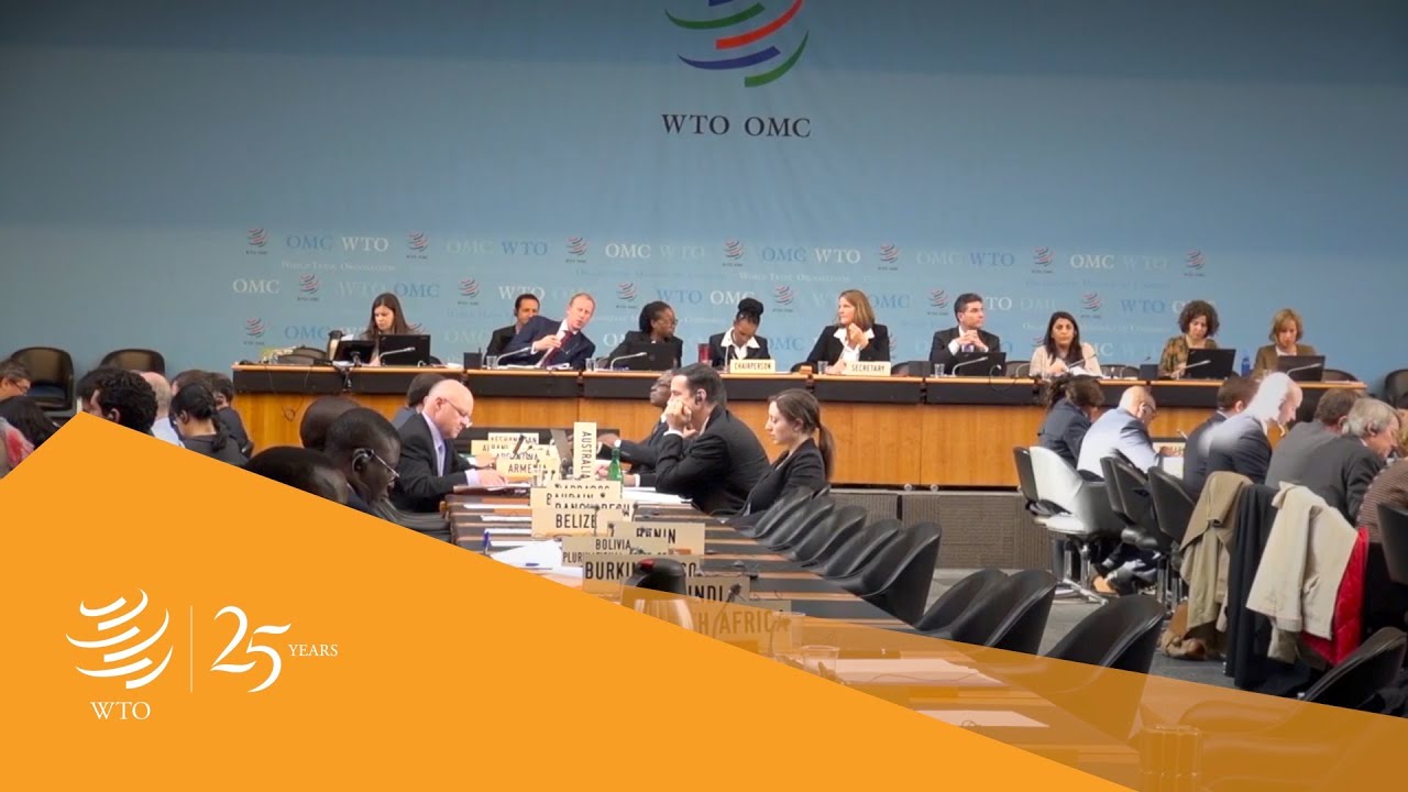 WTO SPS Committee &ndash; Chairpersons' reflections on its 25th anniversary 2/6