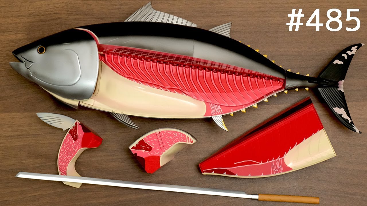 黒マグロ解体フィギュアをさばく / Dismantling Figure Bluefin Tuna. Japanese toy. sushi