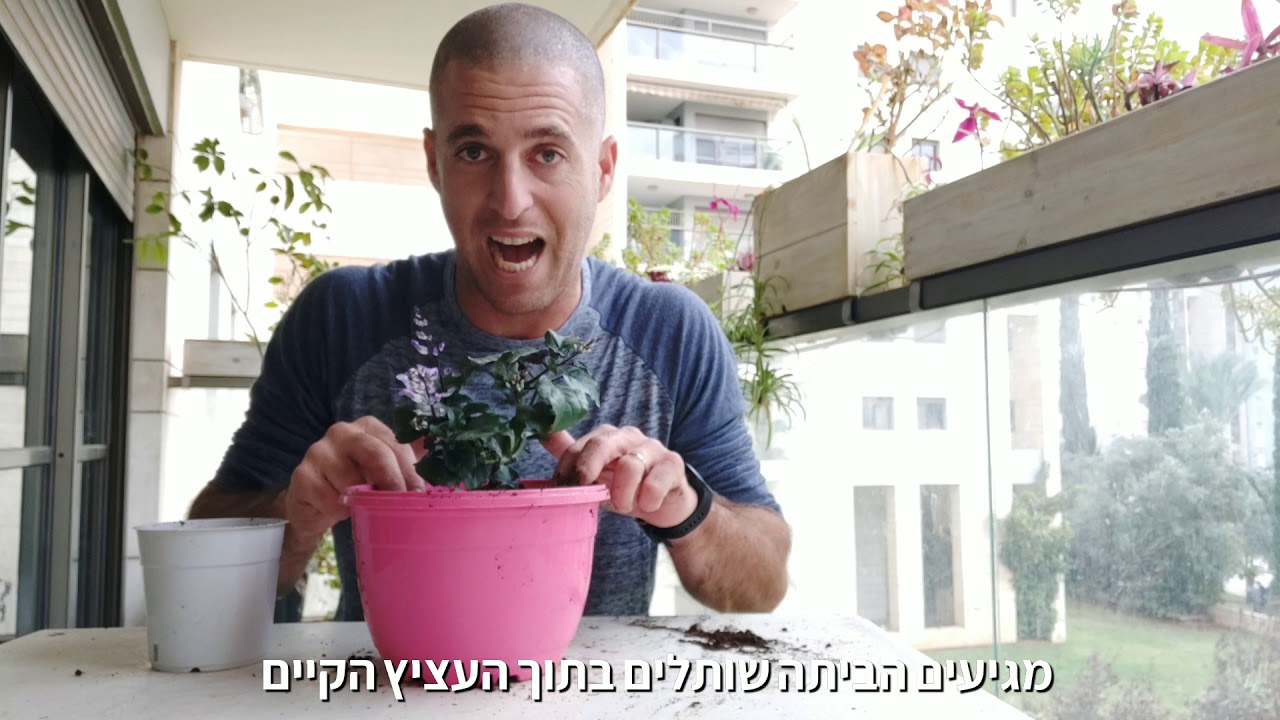הטריק שלא סיפרו לנו על גידול צמחים באדניות!!!