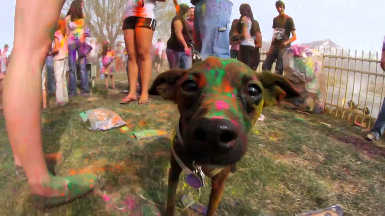 World Biggest Holi  Festival  of colors , USA, SaltLake city, UTAH
