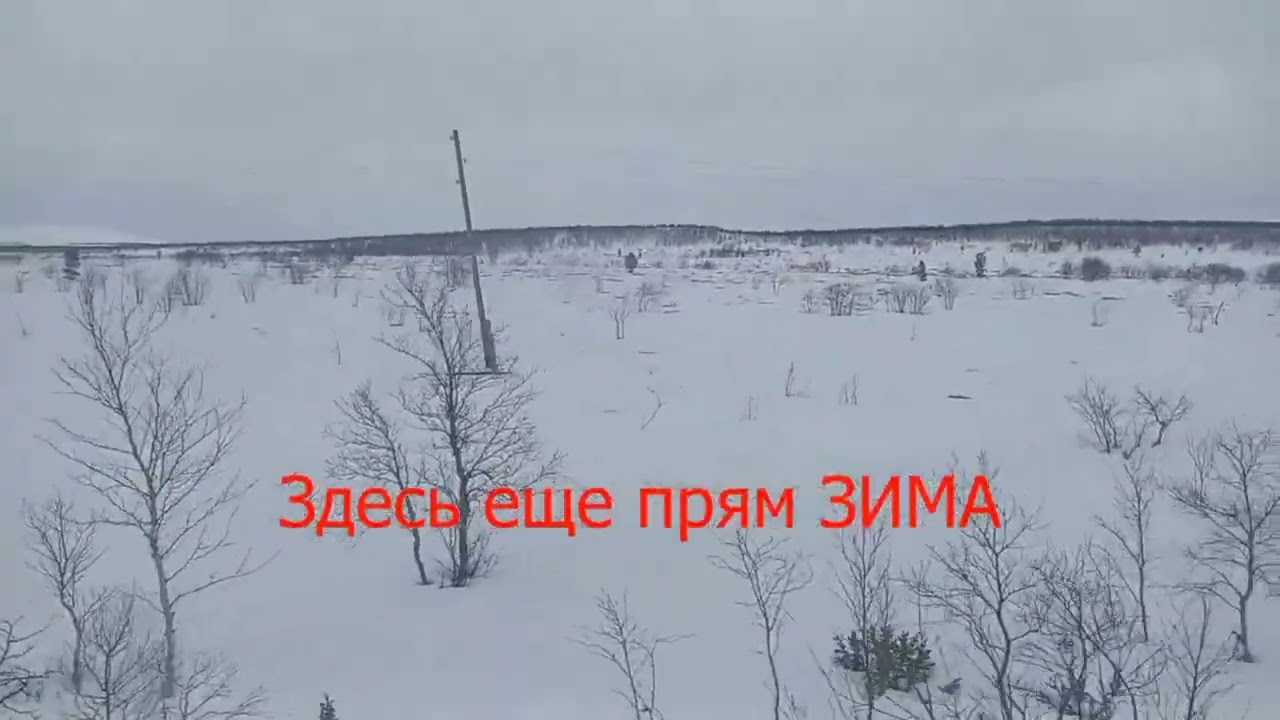 Обкатка на паузу, нужен в тепловозах. Весна 2024го года. 