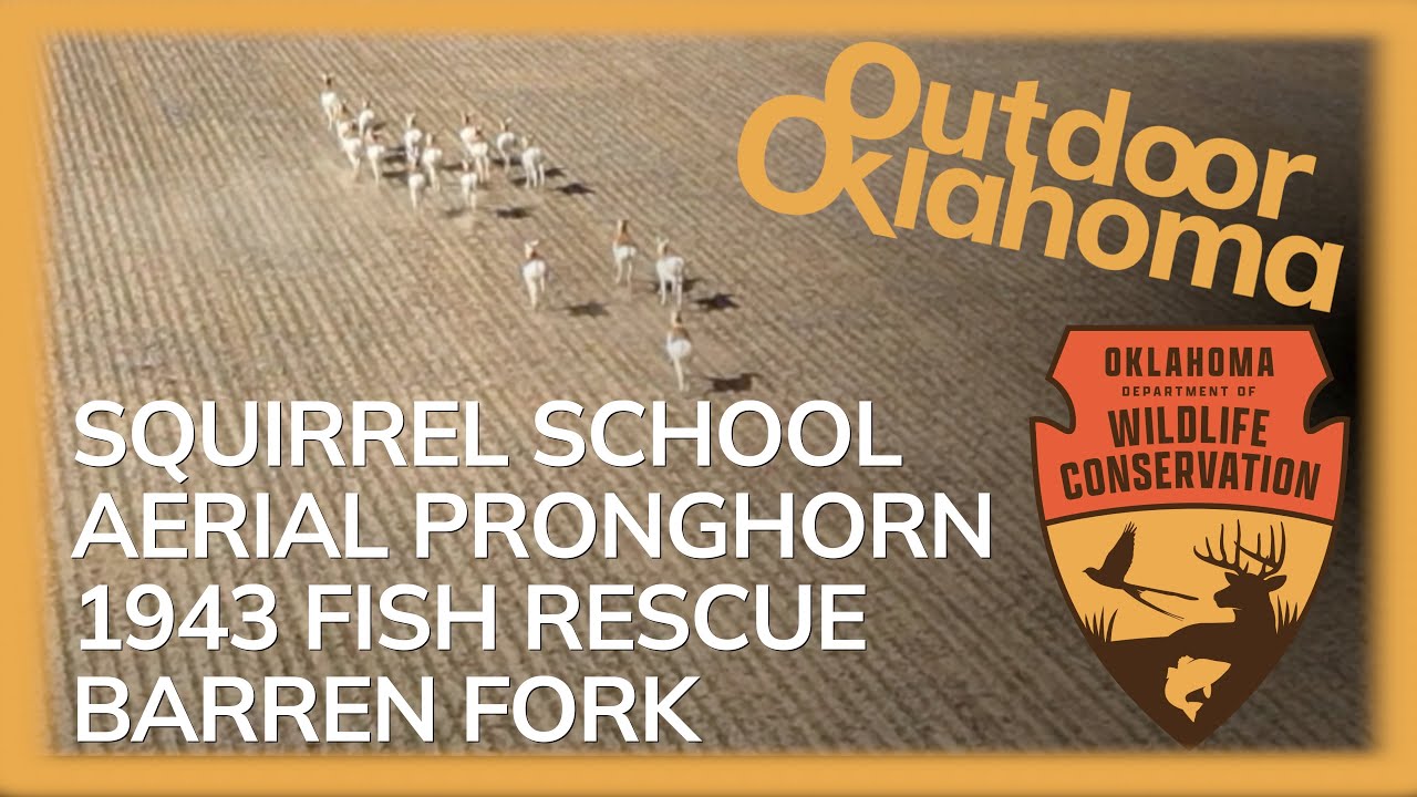 Outdoor Oklahoma 4731 (Squirrel School, Prodigious Pronghorn, 1943 Grand fish rescue, Barren Fork)