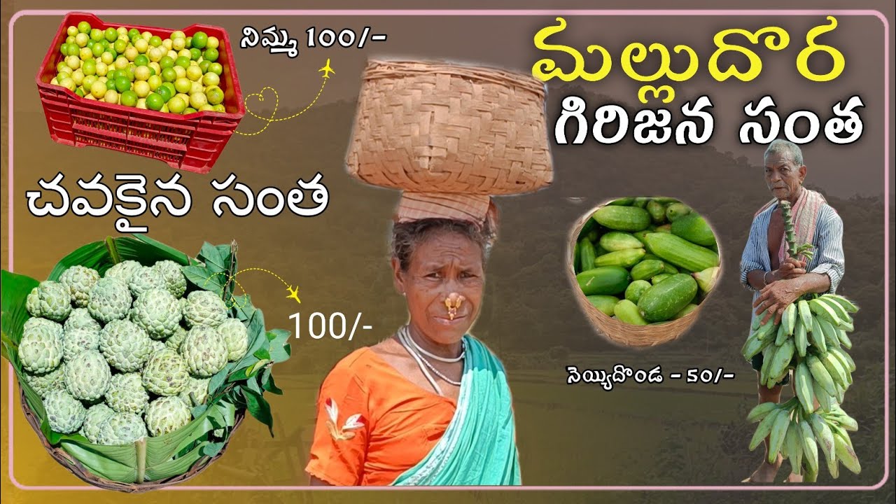 Malludora Tribal Market || seethampeta Agency || manyam dist | Malludora Market