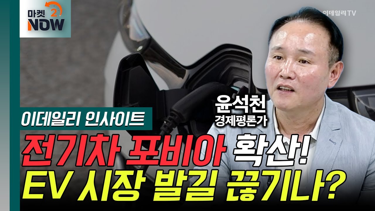 전기차 포비아 확산! EV 시장 발길 끊기나? / 윤석천 경제평론가 [이데일리 인사이트] | Market Now (20240816)
