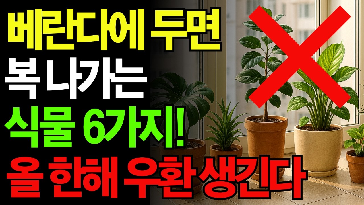 🚨 당신의 베란다, 혹시 '이 식물'이 있다면 큰일 납니다! 💸 복 나가는 베란다 식물 TOP 6