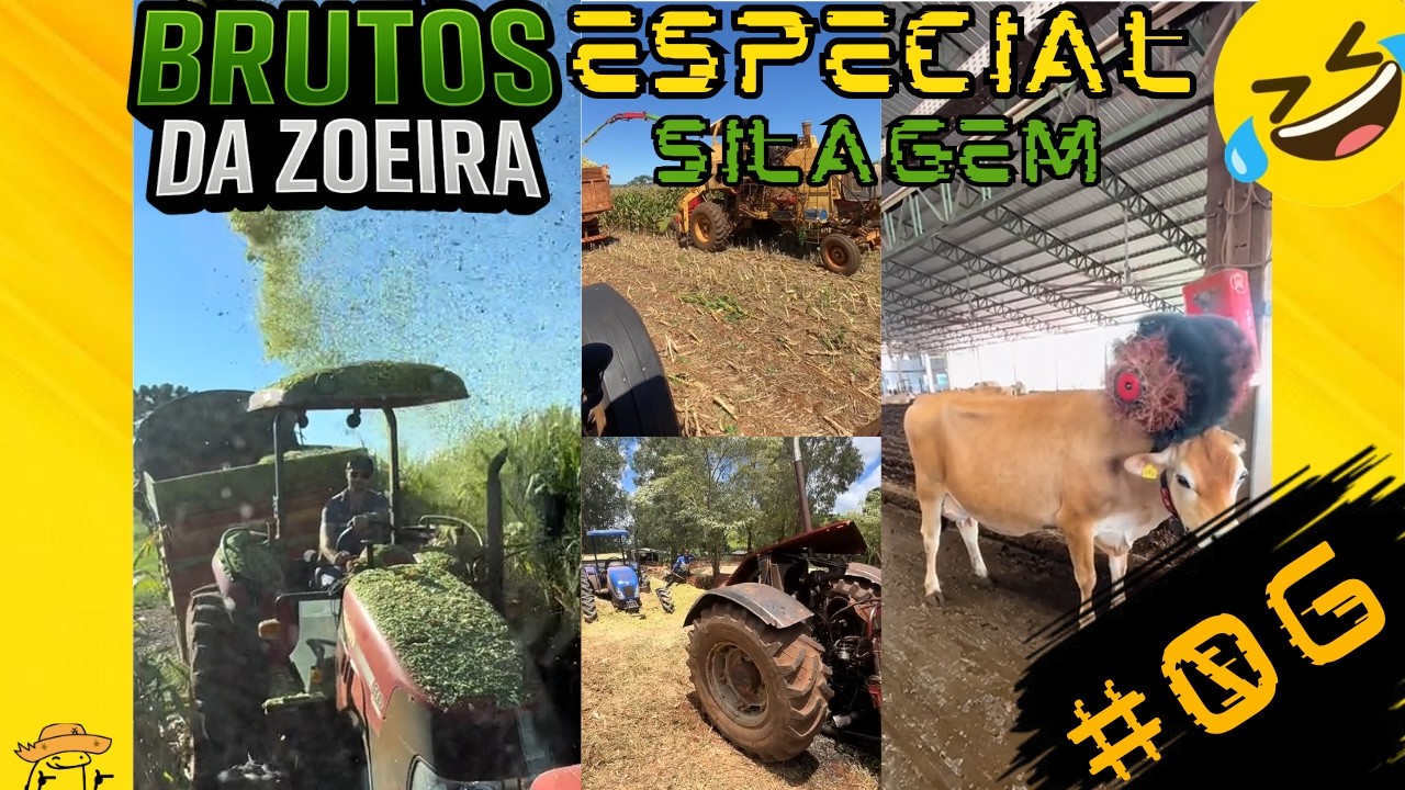 TENTE NÃO RIR 🤣 Os Piores Perrengues da Silagem e do Leite | Memes do Agro
