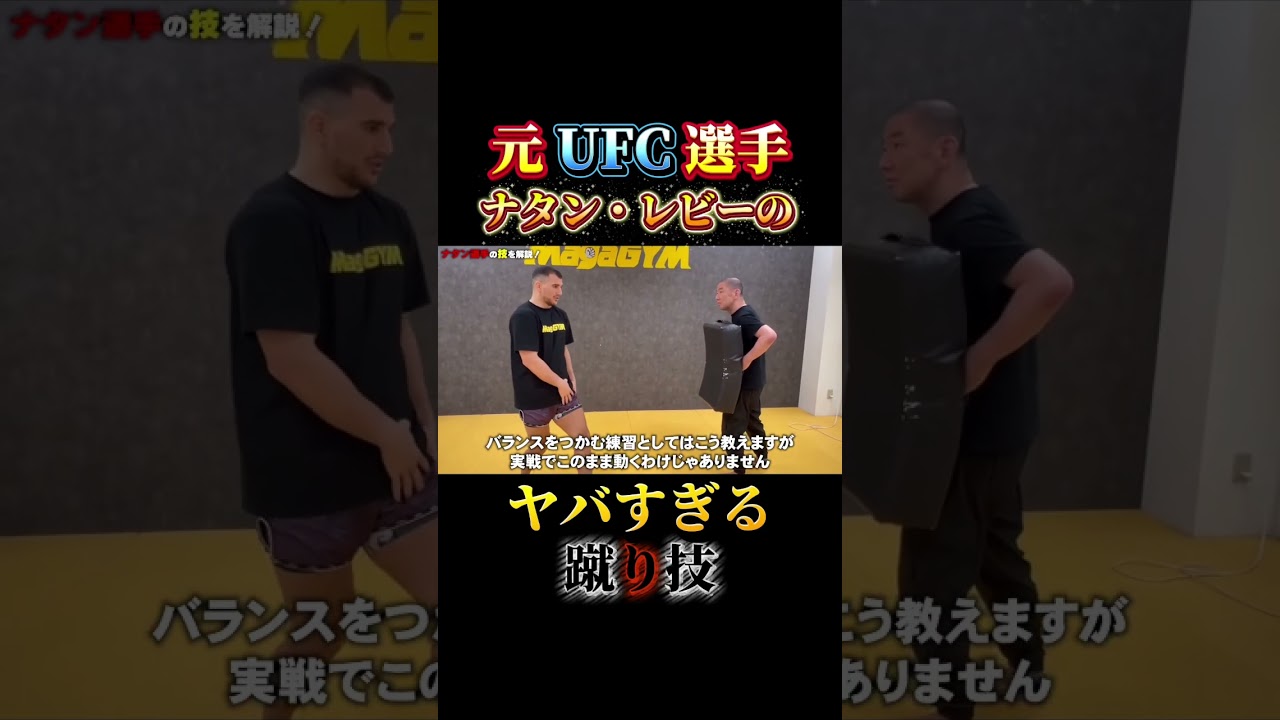 元UFC選手ナタン・レビーのヤバすぎる蹴り技⁉️