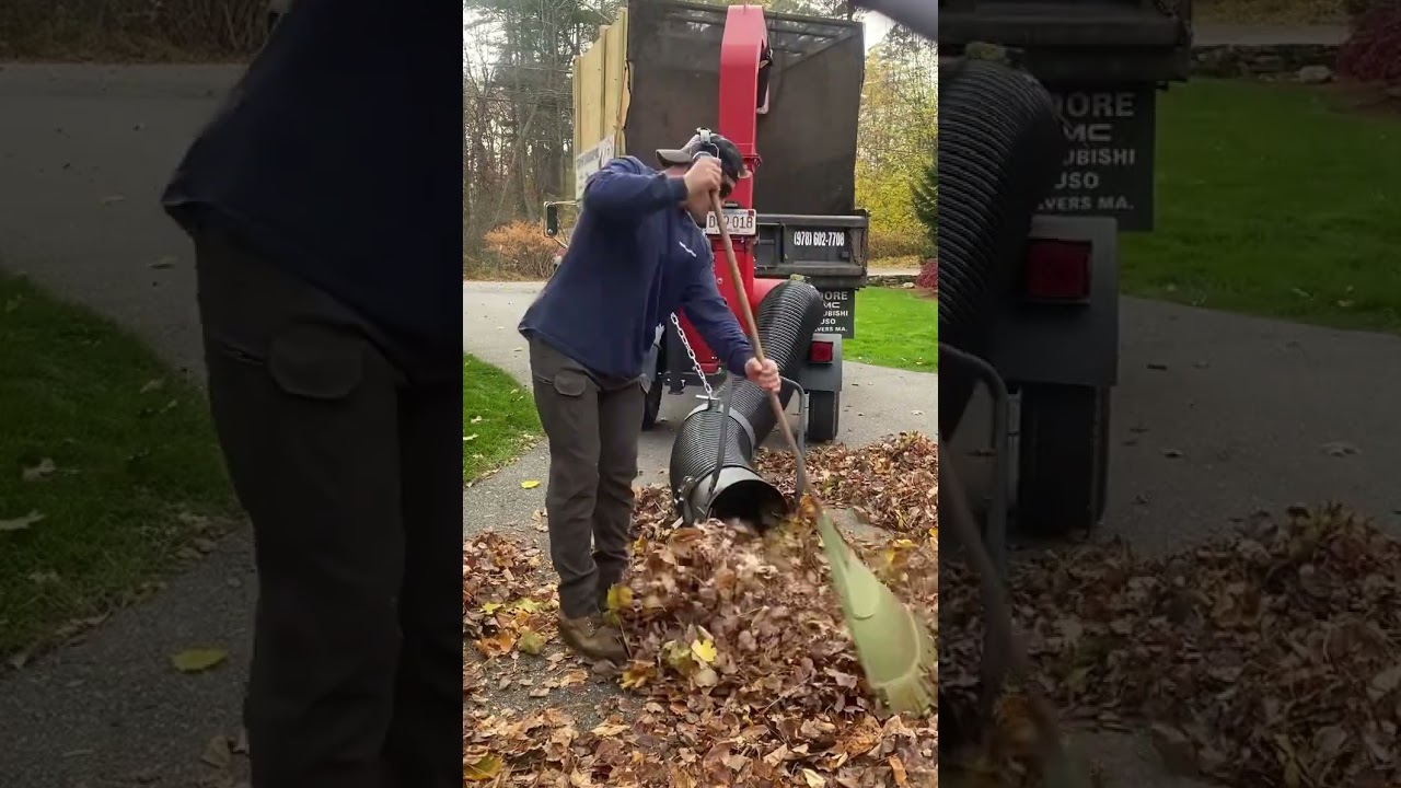 35hp Fradan Leaf Vac #landscaping #satisfying #lawncare #youtube #fradan #leaves #cleanup #fall #fun