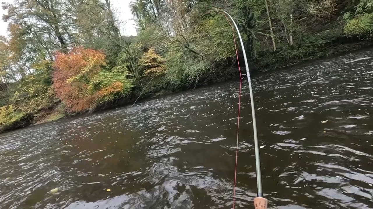 Hoddom cables pool 23/10/24