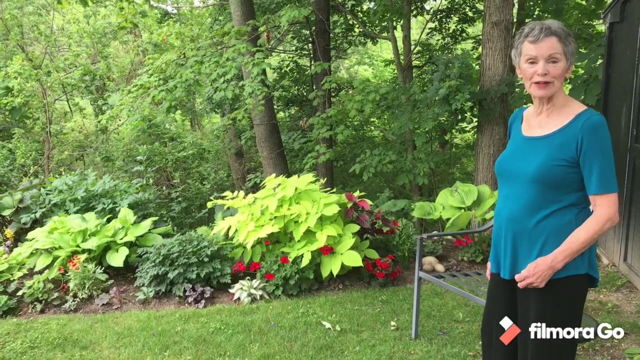 Gananoque Virtual Garden Tour - Alice