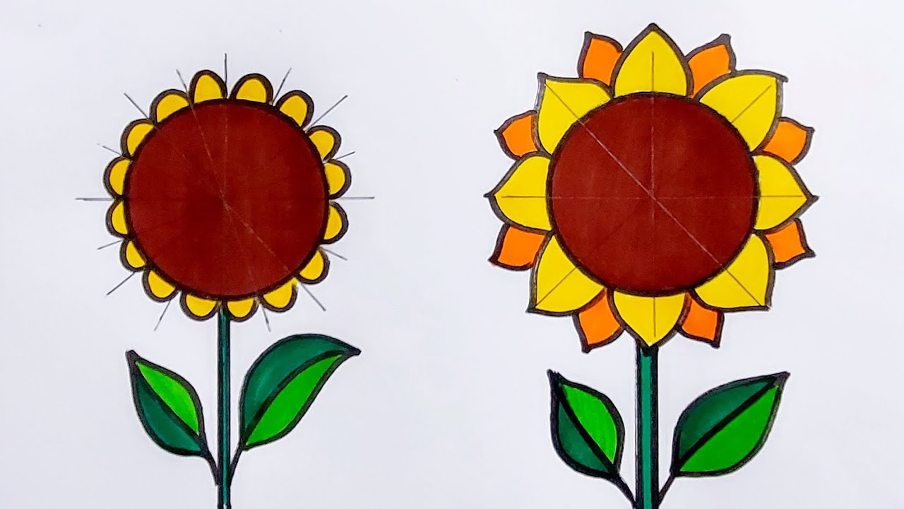Sunflower Drawing using basic lines