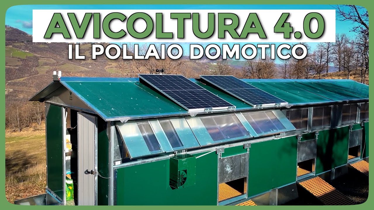 La domotica arriva anche nei nostri pollai!