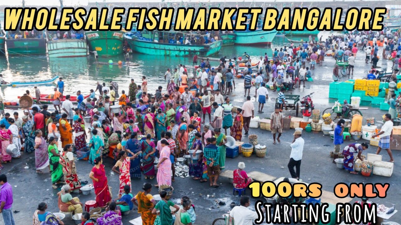 Russell Fish Market Shivajinagar | Wholesale Fish Market Bangalore Full Detail Video