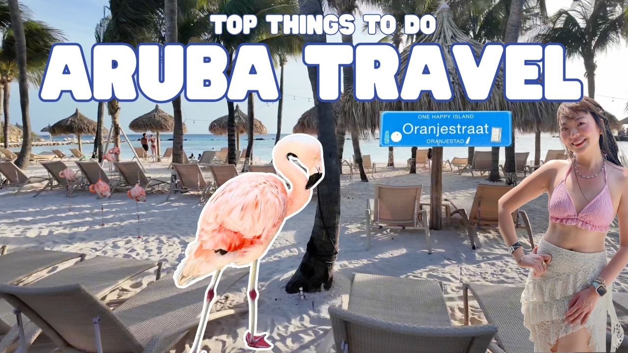 Aruba🦩 Top Things to Do | Flamingo Beach, Sea Turtles🐢 & Renaissance Wind Creek #aruba #travelvlog