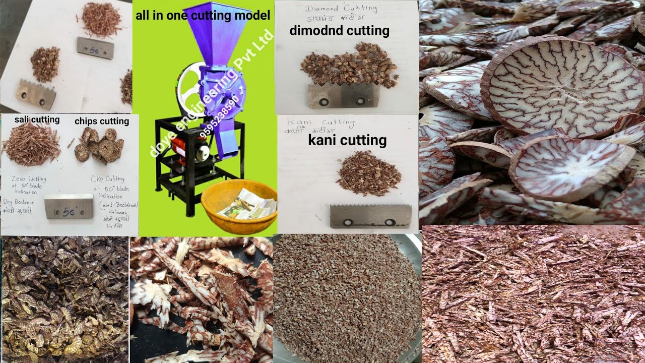 SUPARI all in one cutting model 9595238590 DOYE ENGINEERING