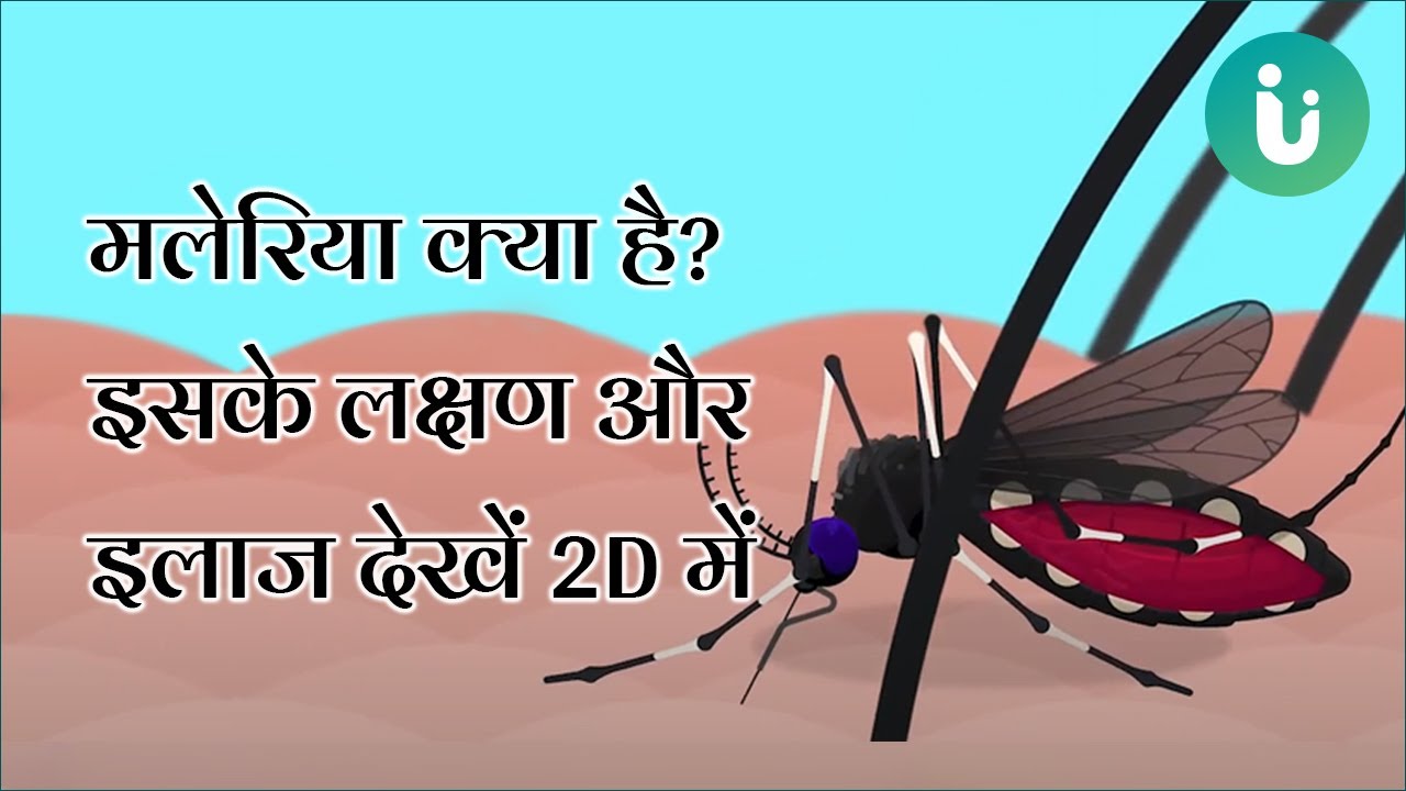 मलेरिया क्या है, क्यों होता है, इसके लक्षण और इलाज देखें 2D में | Malaria in Hindi