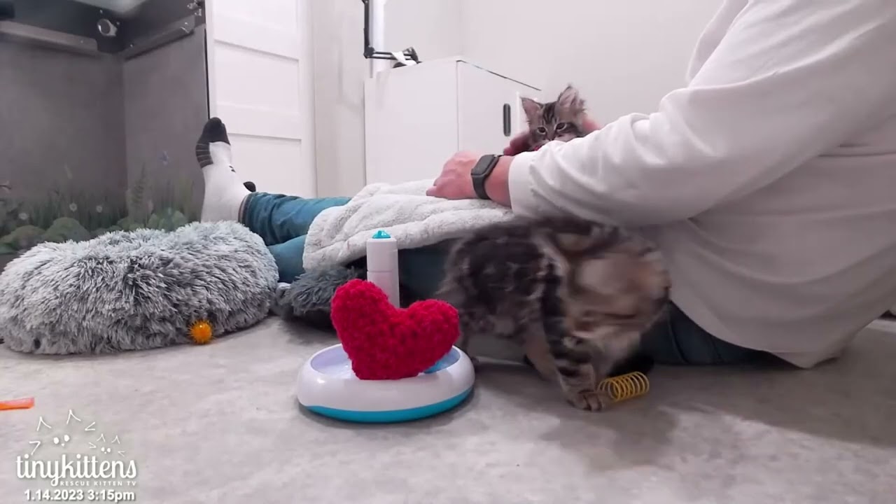 Post-emergency snuggles with Unka Dave and Pixie