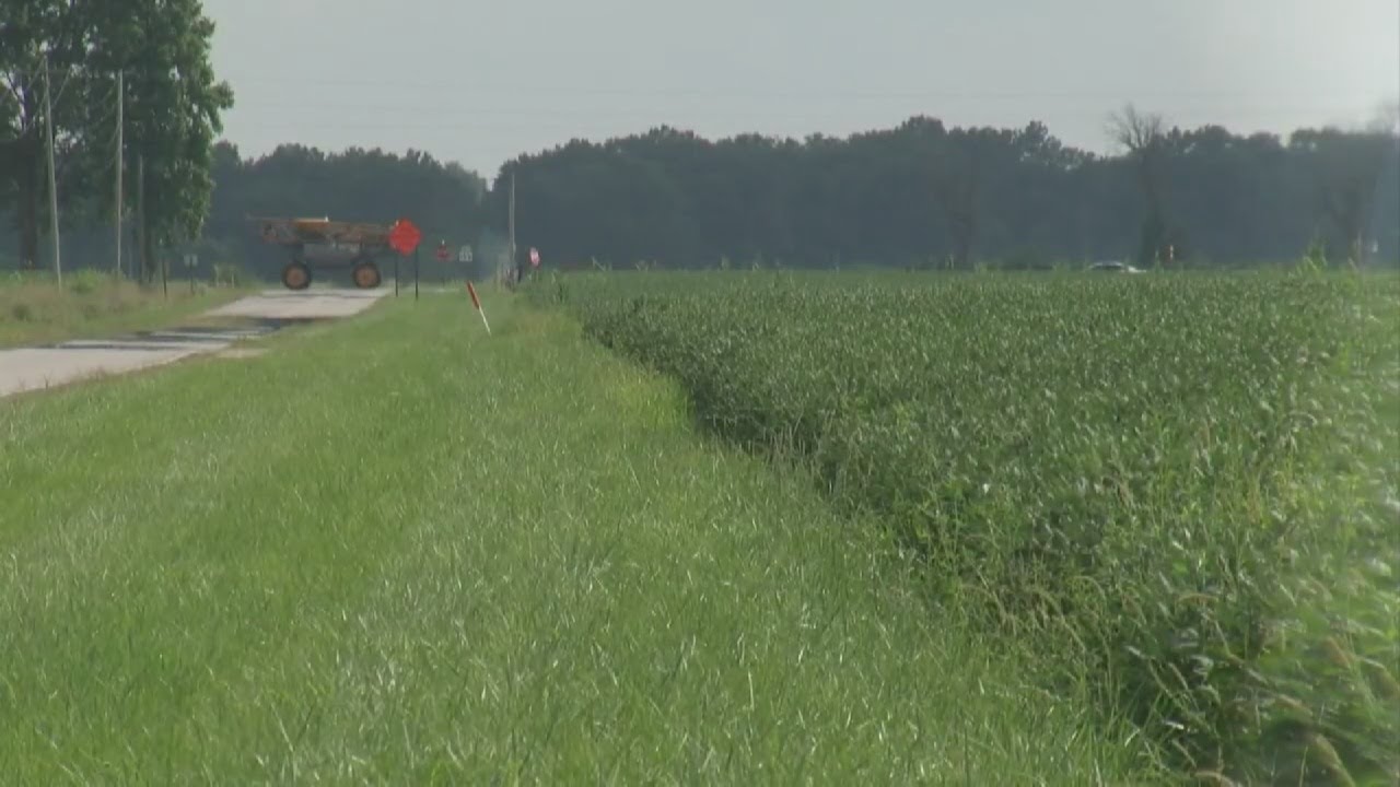 nitrogen fertilizer shortage - how its impacting one local farmer