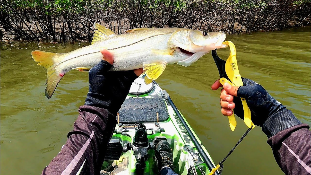 Pescaria exelente! Muito robalo e pescada!