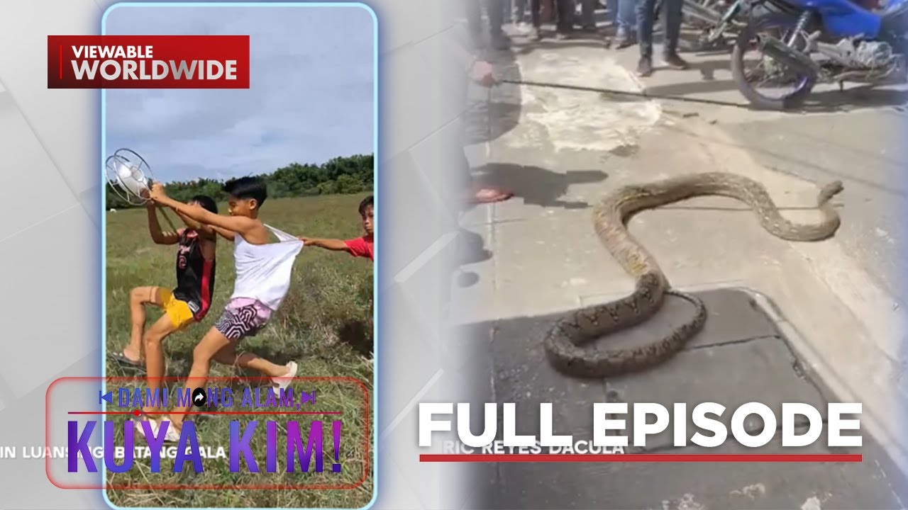 Bata, nakaladkad habang nagsasaranggola; Malaking sawa, nakita sa daan? | Dami Mong Alam, Kuya Kim!
