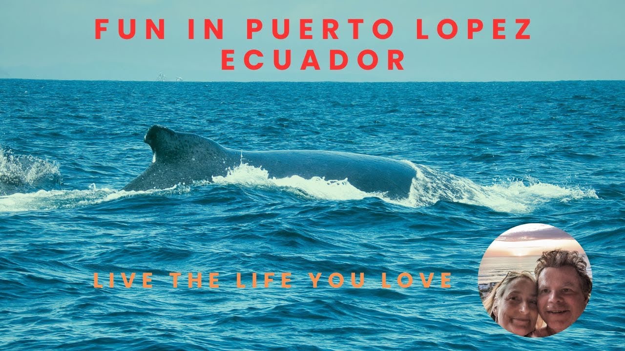 Fun in Puerto Lopez, Ecuador.  Whale watching, snorkeling, sea lions and great food.  Join us!