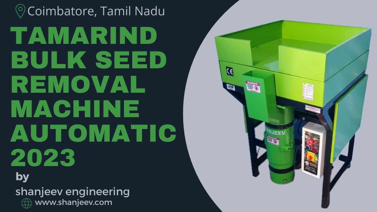 Automatic Tamarind Bulk Feeding Seed Removal Machine 2023