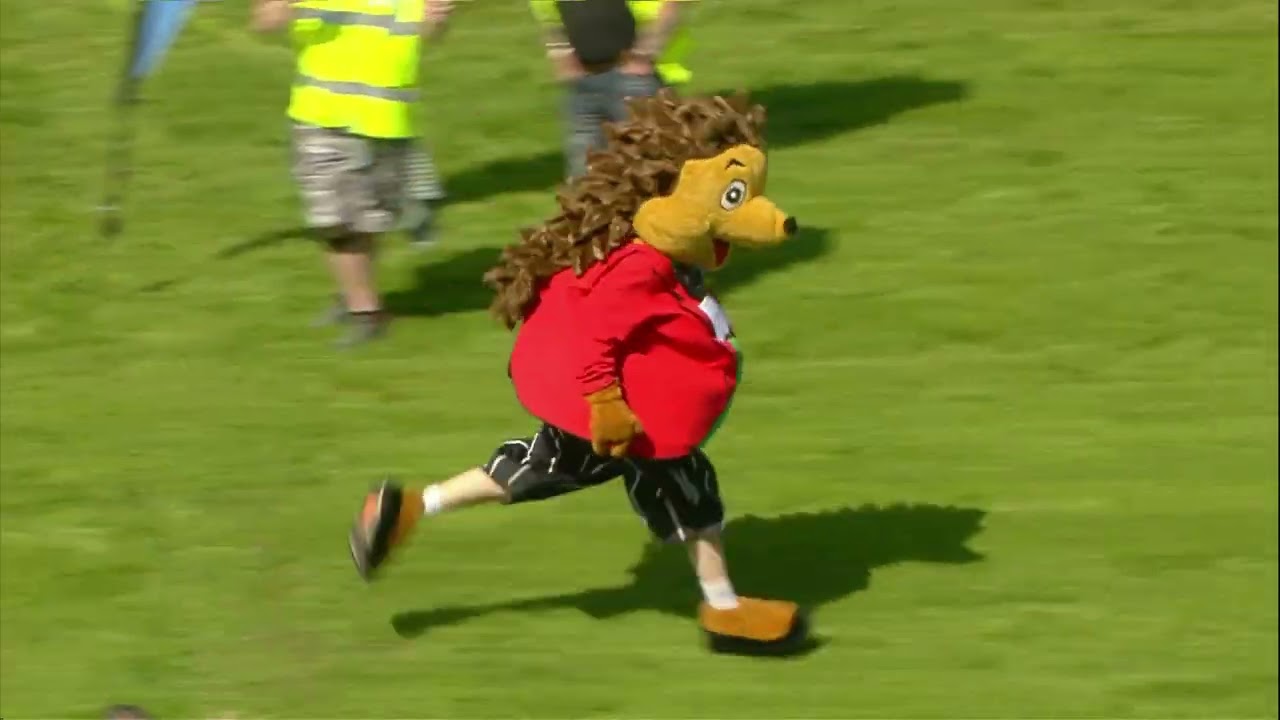 The 2025 Wetherby Racecourse  Sue Ryder Mascot Gold Cup (27/04/2025)