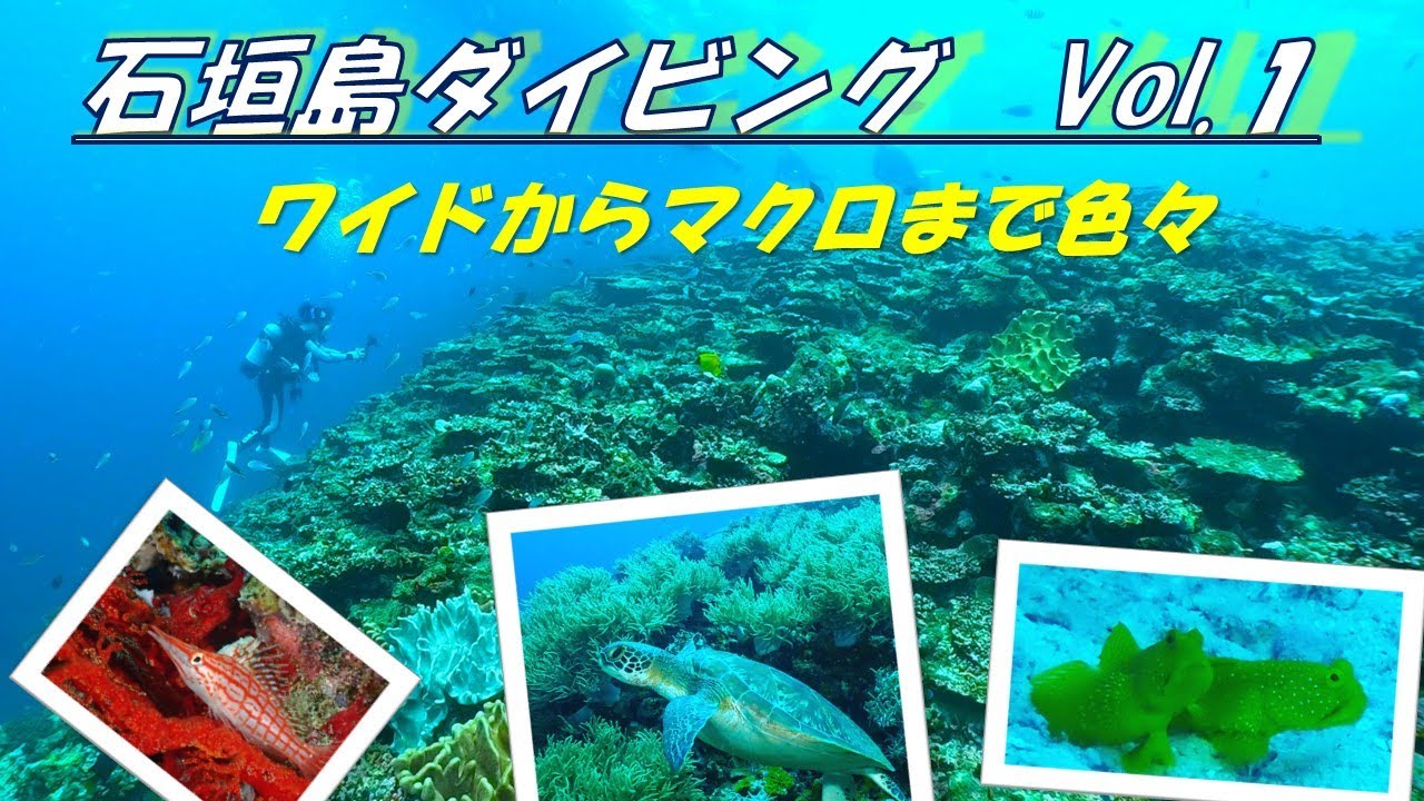 【石垣島ダイビング  VOL１】　2025年7月　梅雨明けの石垣島＆竹富島で4日間8DIVE　ヨナラ水道　マンタシティ　石垣島ダイビング　竹富島ダイビング　石垣島マンタ　ヨナラマンタ　石垣島観光
