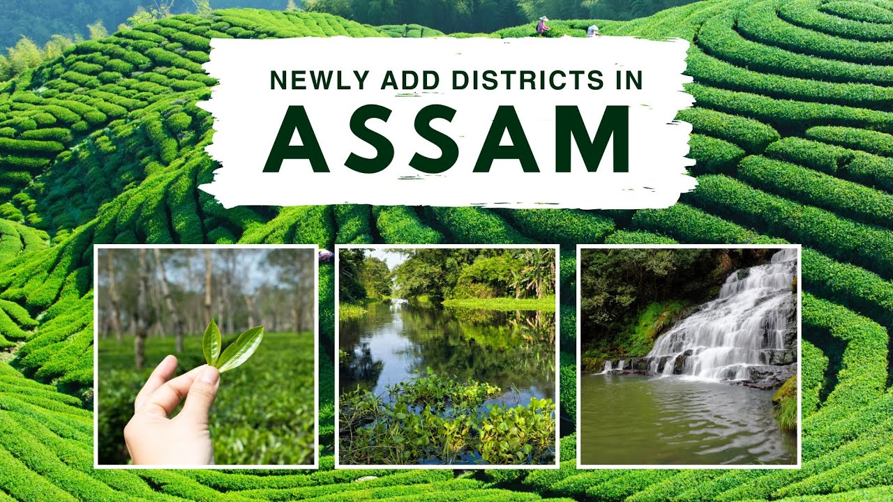 Newly formed districts in Assam 2025 | Latest district in Assam