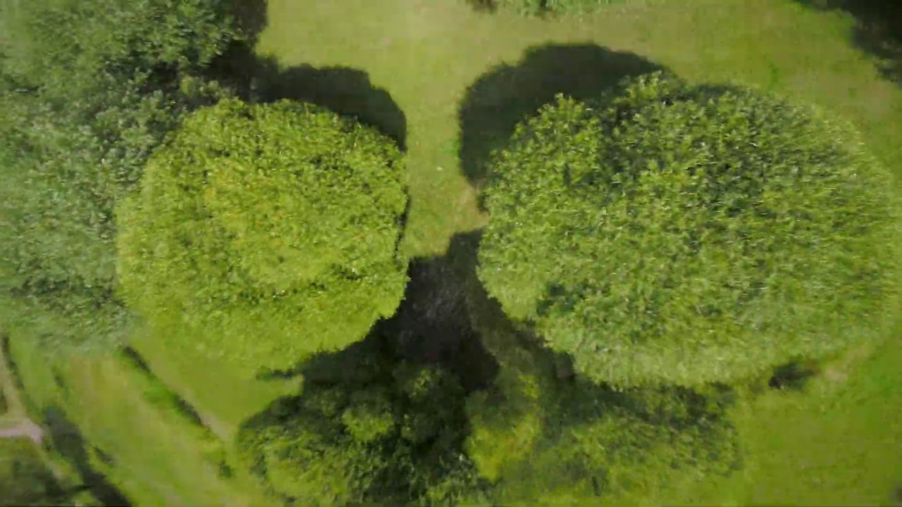 Тренируем FPV-пилотов