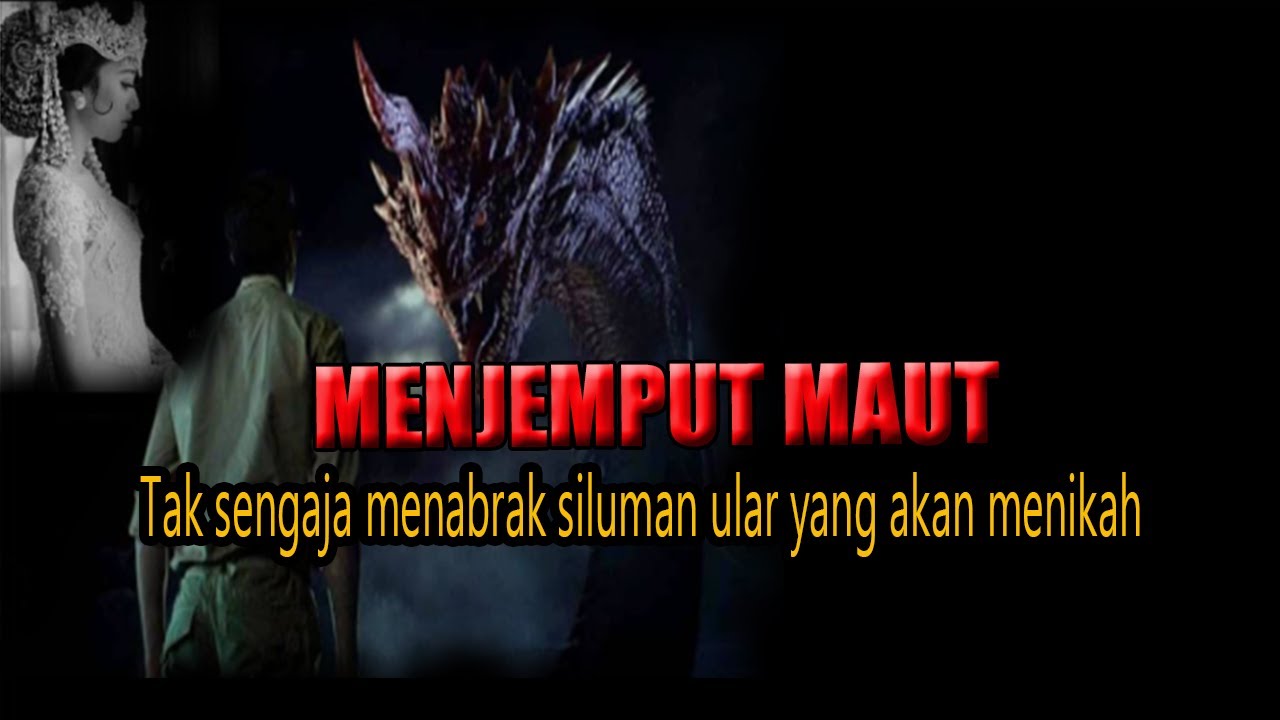 KISAH NGERI ❗️❗️ TERNYATA DIA TELAH MA*TI ! MASUK ALAM GAIB AKIBAT TABRAK ULAR