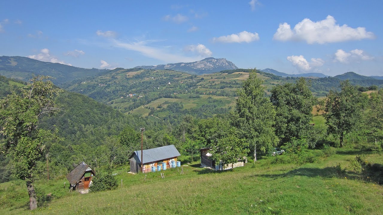 Kušići - Ranđići