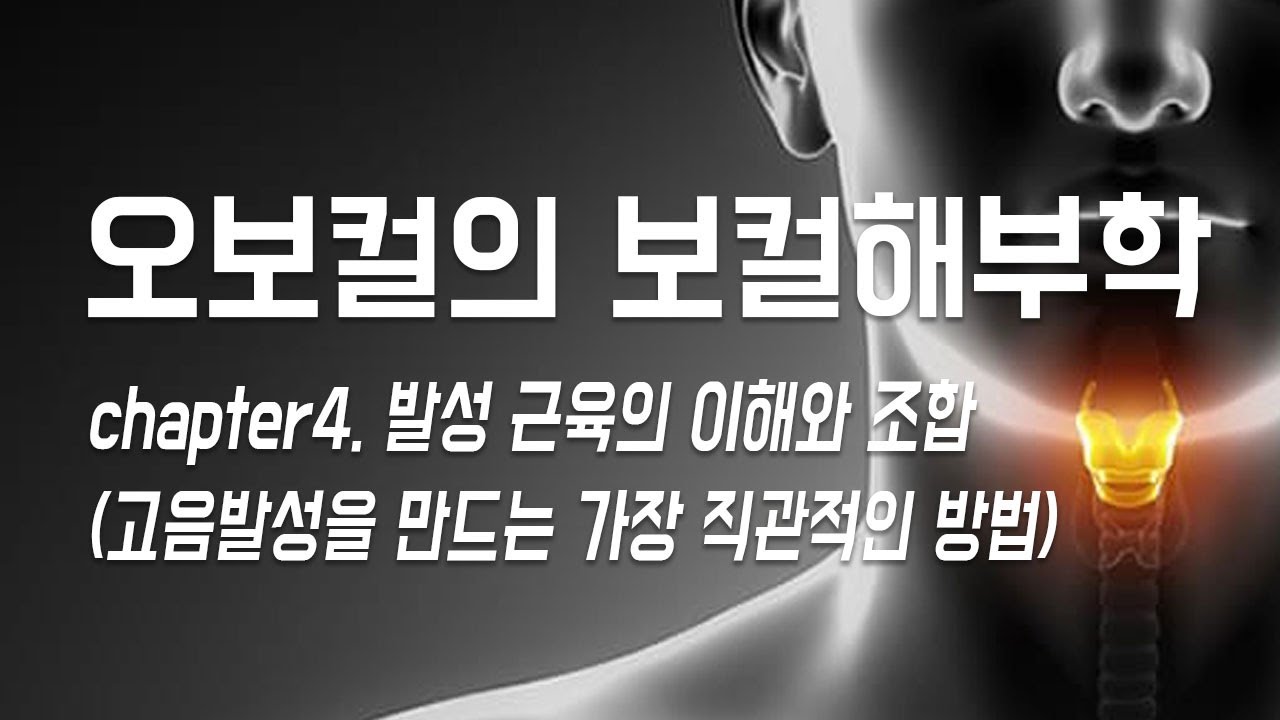 [ 알아두면 더 쉽게 득음하는 보컬해부학3 ] 고음발성을 위한 가장 직관적 방법 - 발성근육의 이해