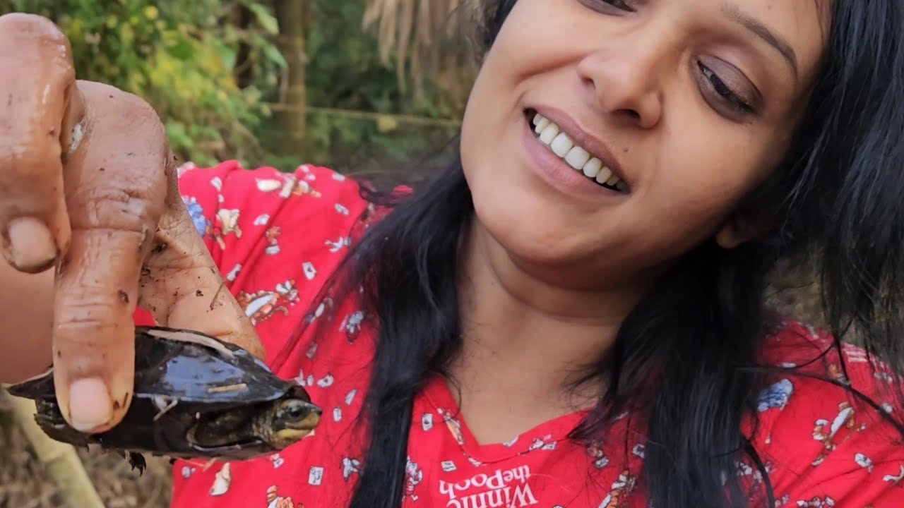 നമ്മുക്കു കിട്ടിയ ക്രിസ്മസ് സമ്മാനം @ annazzvlog 