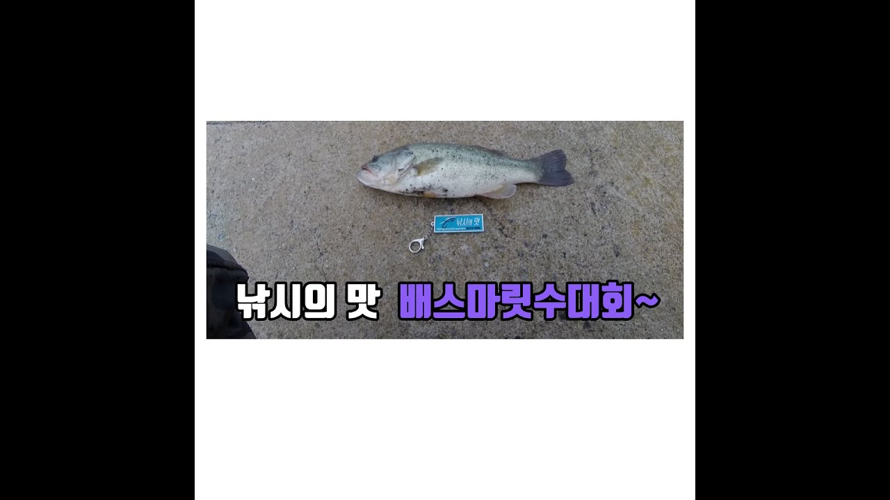 장흥 리벤지 매치 2탄~ 낚시의맛 배스 마릿수 대회~