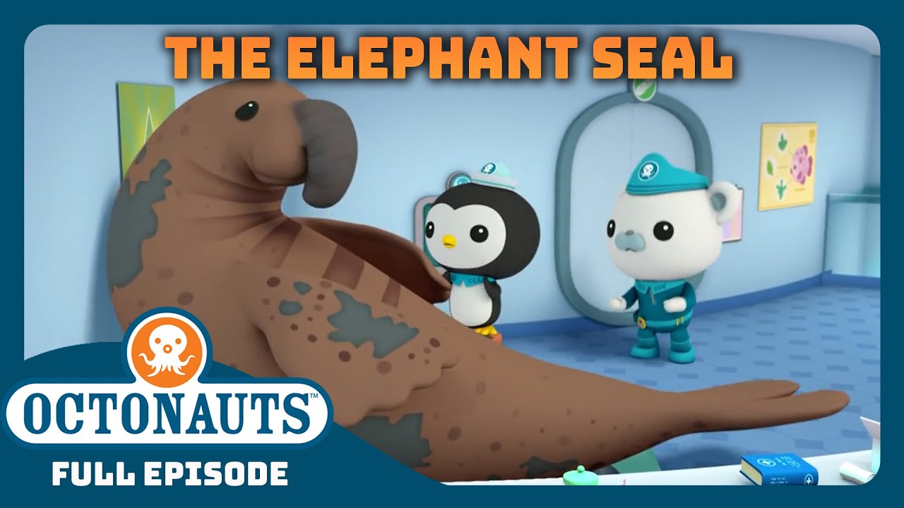 @OctonautsEpisode - The Muddy Elephant Seal | Full Episode 29 | Cartoons for Kids