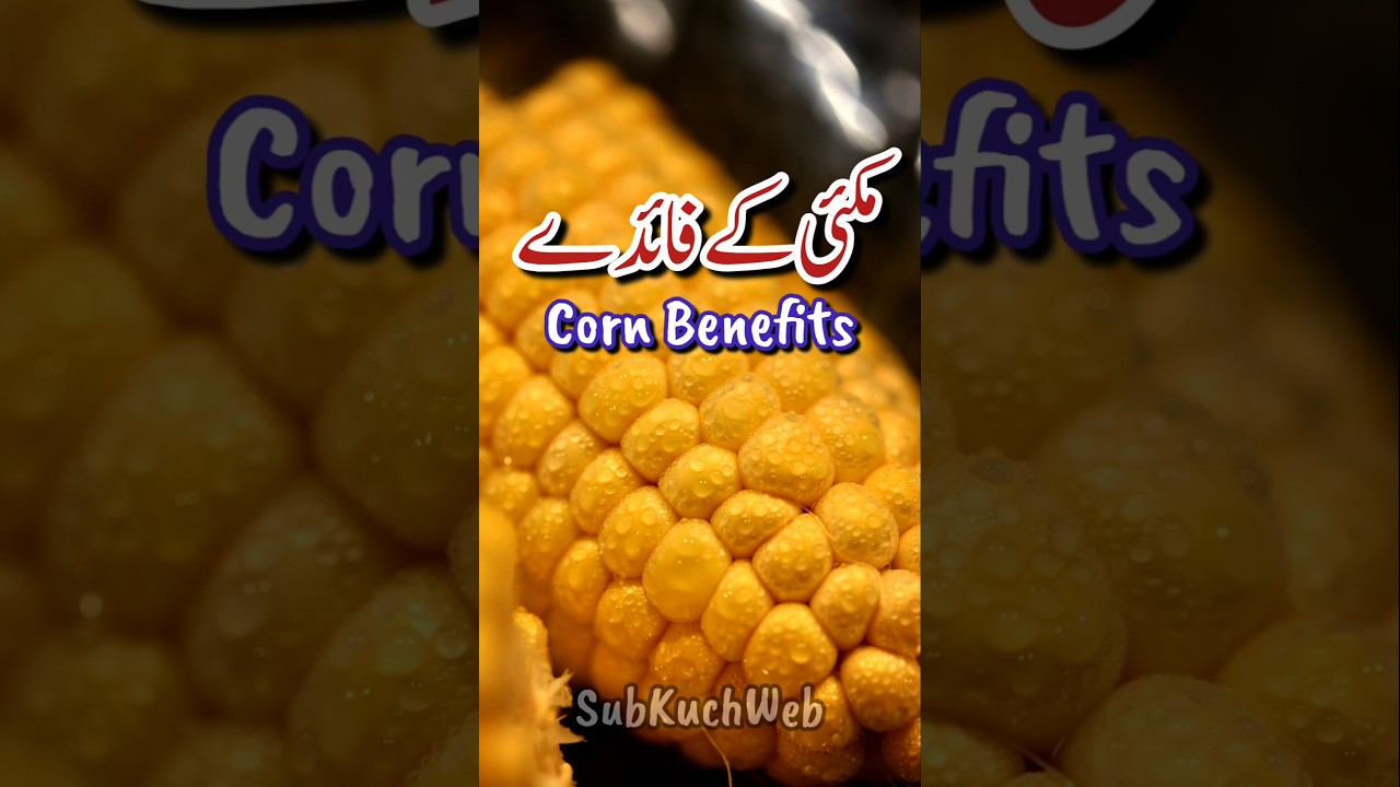 Benefits of eating corn | Corn Health Benefits #corn #corn #healthtips #youtubeshorts