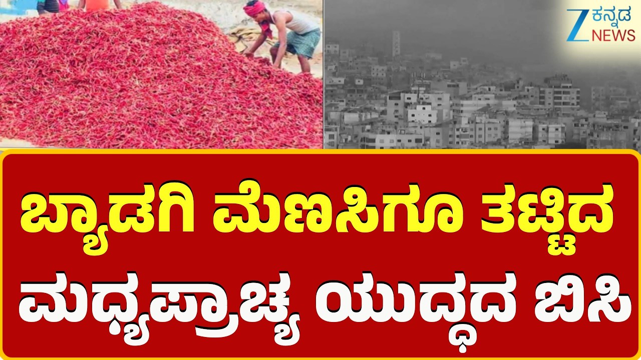 War Effect on Byadagi menasinakayi | ರಫ್ತಿನ ದರದಲ್ಲಿ ಗಣನೀಯ ಏರಿಕೆ, ರೈತರಲ್ಲಿ ಆತಂಕ..!