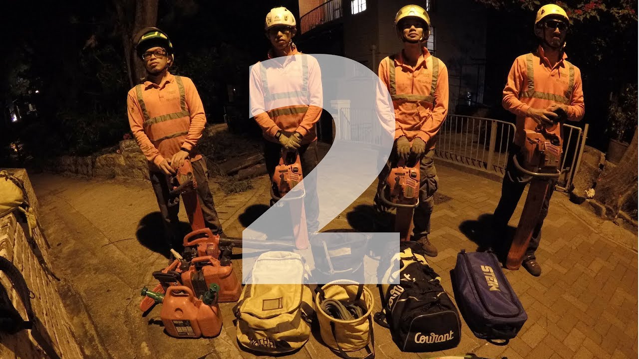 [ Hong Kong Tree Work 香港攀樹工作 ] Over Night Removal Day 2 , Rigging - Hong Kong, Cheung Chau
