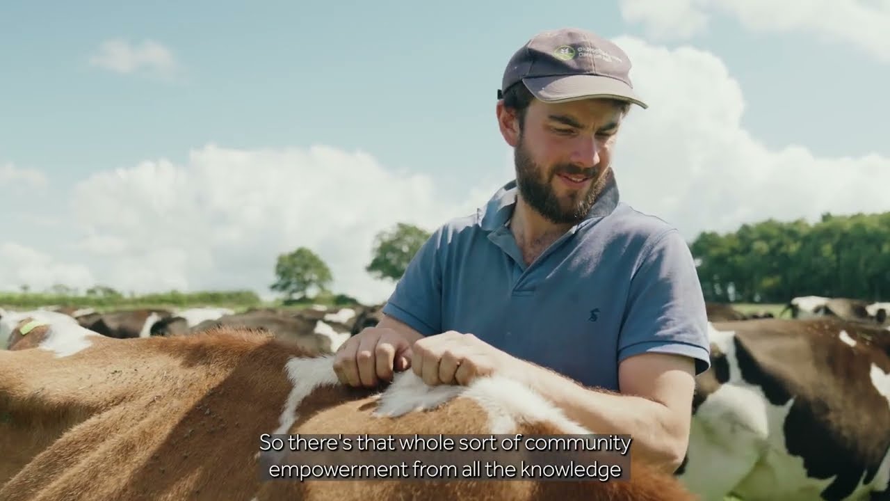 Investing in healthy soils on Dorset farms