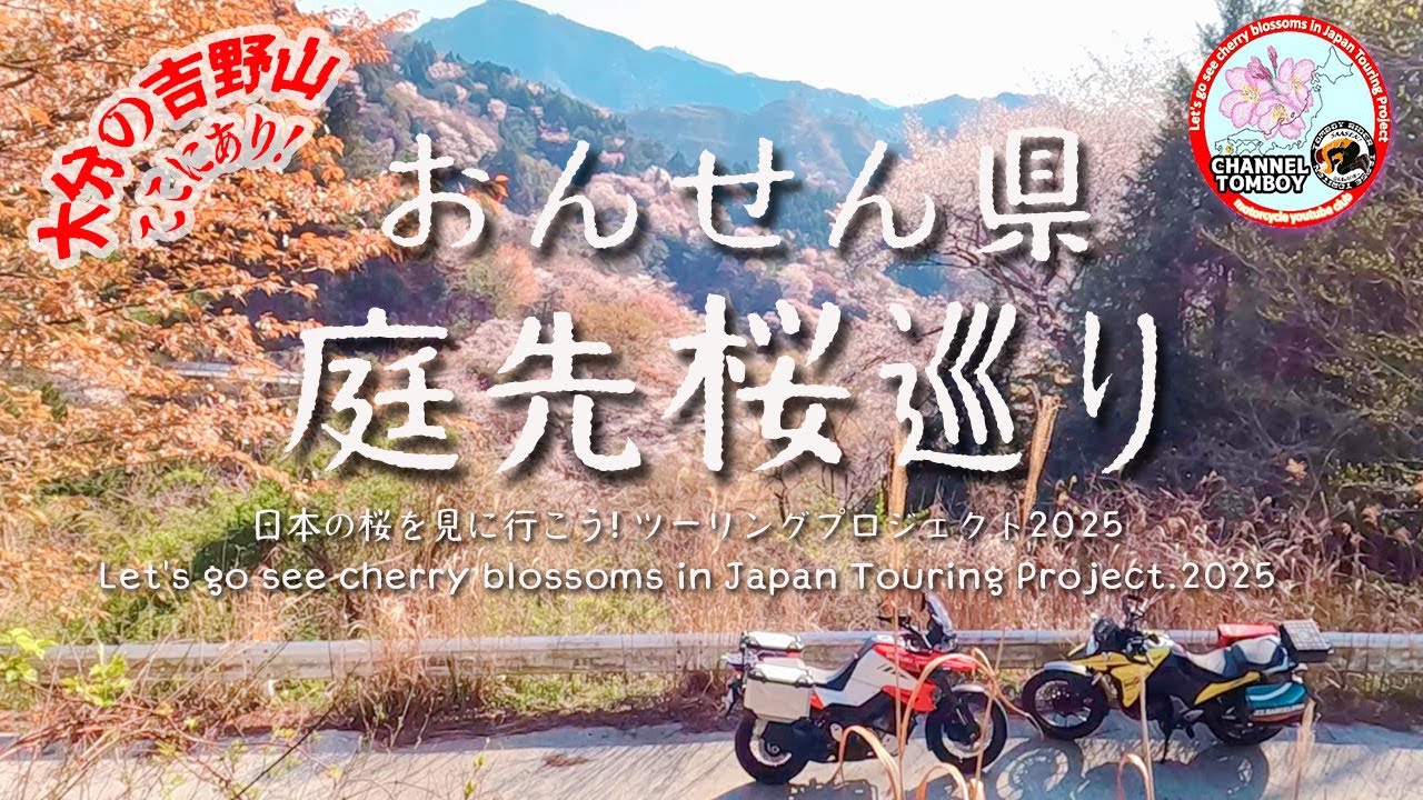 V-stromで行くおんせん県の吉野山ここにあり！マイナースポット桜巡りVOL.1 | 桜とバイクと古いカメラ | 別府由布大分 | 日本の桜を見に行こう!ツーリングプロジェクト2025 |モトブログ
