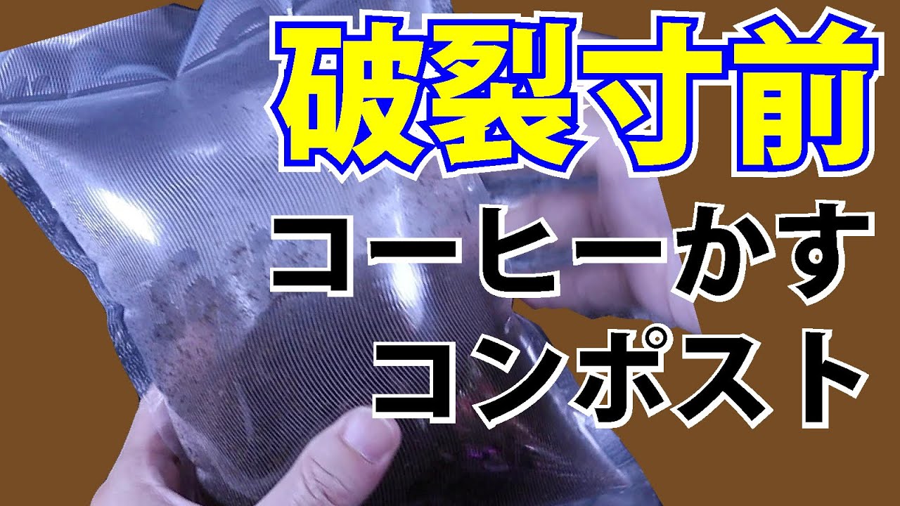 【発酵肥料】破裂寸前‼ コーヒーかす・コンポスト 【ガーデニング、家庭菜園】【農業】