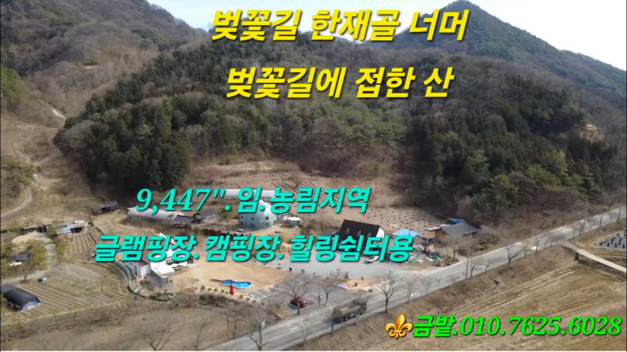 #한재골 너머 벚꽃 길 국도1호선에 접한 산입니다.
