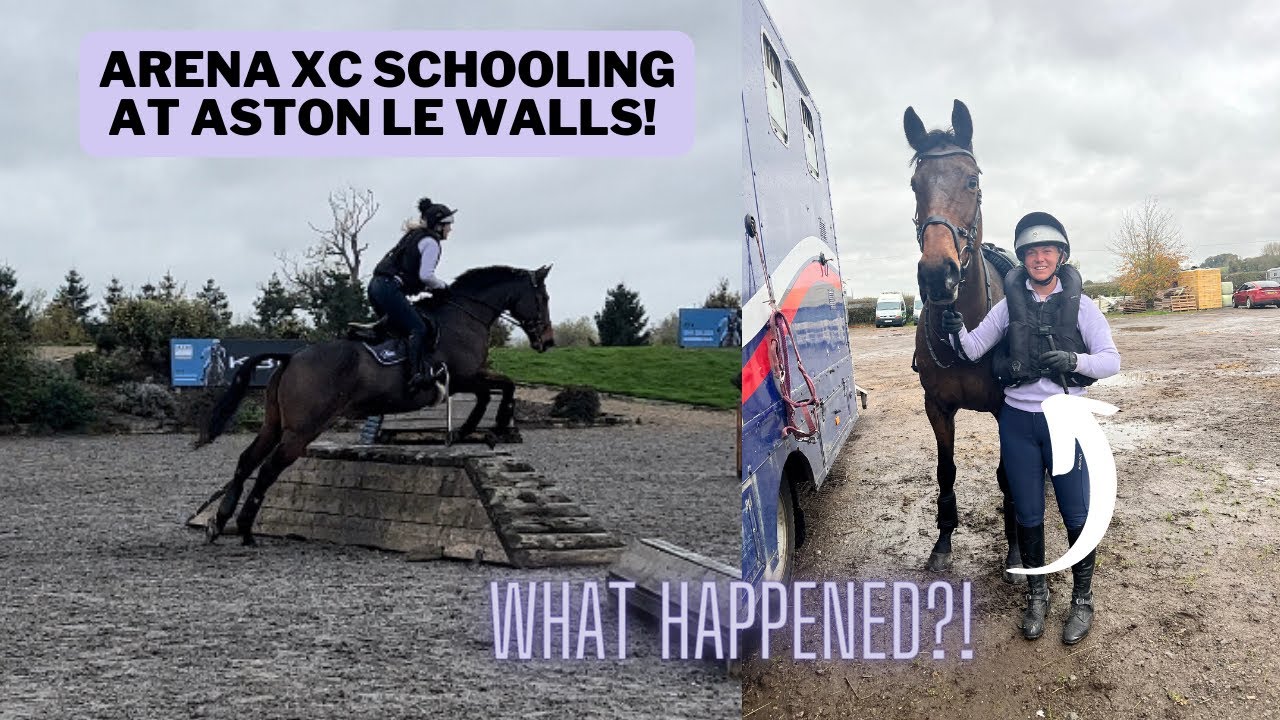 ARENA XC SCHOOLING AT ASTON LE WALLS ~ Adventures of Megatron | Equestrian Vlog