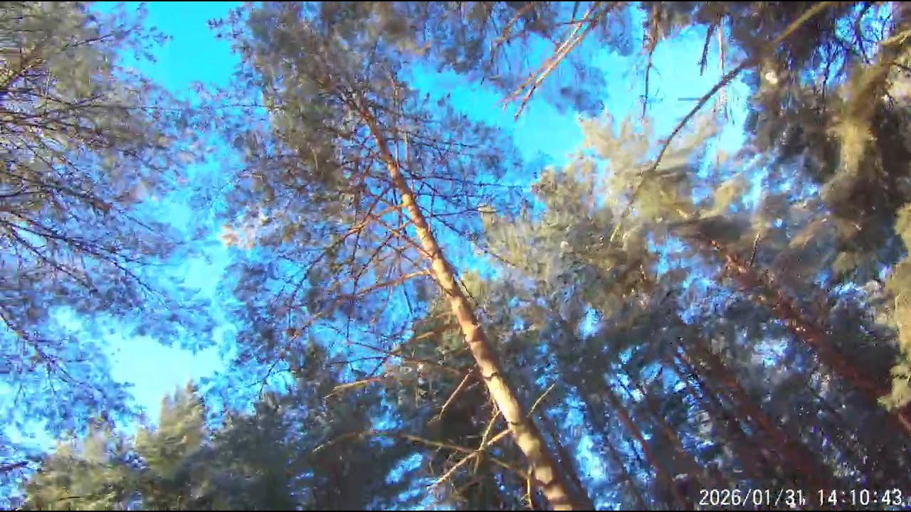 20260131140952 0002  поход выходного дня