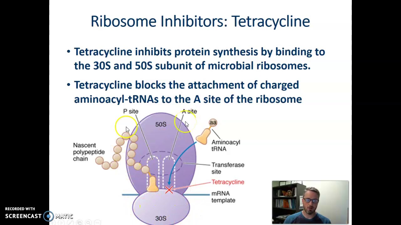 Tetracycline Mechanism of Action